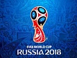 Размещение символики чемпионата мира по футболу FIFA 2018 года возможно только после заключения лицензионного договора