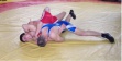  В спортзале «Геркулес» прошел чемпионат Ростовской области по вольной борьбе среди мужчин
